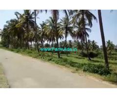 2 Acres 20 gunta coconut farm land for sale, 6 km from Srirangapatna