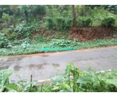 1 Acre Coffee Estate for sale at 20 KMS from Mudigere.