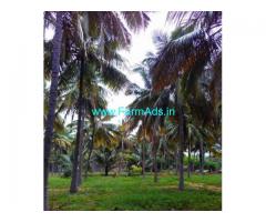 6 Acres Coconut Farm Land for sale in Kundamam