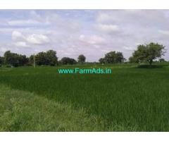 11 Acres Agriculture land for sale near Narsapur