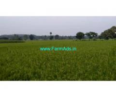 11 Acres Agriculture farm Land for sale at Yeldurthy