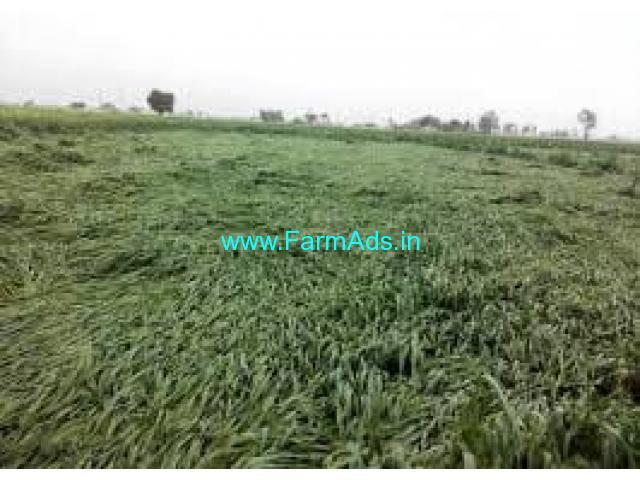 14 acres Agriculture Land for Sale near Tadas,Tadas Dundasi Hosur