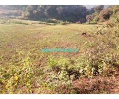 7.5 Acres Plain land forsale at Mudigere, 20 KMS from Town