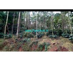 7.5 acre coffee estate for sale in Chikmagalur