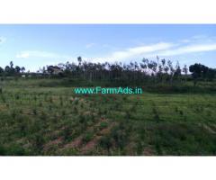 9 Acres Coffee Estate with Farm House for sale near Belur
