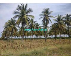 8 Acres Coconut Farm land for sale near Ranibennur