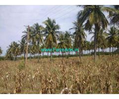 8 Acres Coconut Farm land for sale near Ranibennur