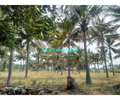 4 Acres Farm land for sale near Palladam Udumalpet Main road