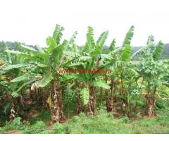 18 Acre Farm land for Sale in Alur - Hassan