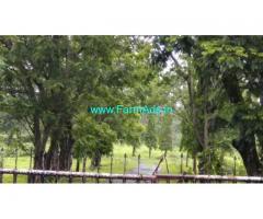 19 Acres Farm Land for sale Bhilawale, Khalapur