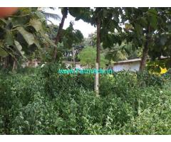 4 Acres Farm Land with Poultry Shed for Sale near Tarihal