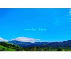 352 Acres Neglected Coffee Estate for Sale, 45 km from Chickmagalur