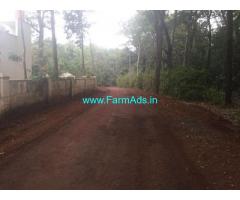 352 Acres Neglected Coffee Estate for Sale, 45 km from Chickmagalur