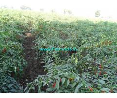 2.75 Acres Agriculture Land for Sale at Mangsuli,Near National Highway