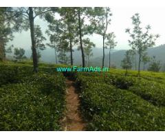 8 Acres Tea Estate for Lease in Coonoor
