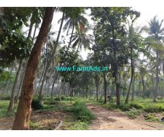 40 Acres Coconut Farm for Sale in Heggadadevanakote
