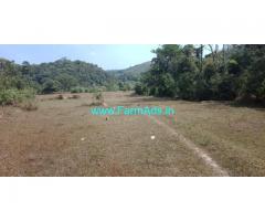 2 acre plain farm land for sale, 25 KMS from Mudigere