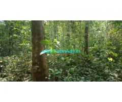 5 acre plain farm land for sale in Mudigere , Covered by jungle trees