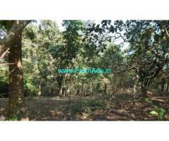 3 Acres Agriculture Land for sale at Mamana