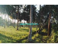 1 acre coconut farm land for sale at Malavalli, 50 mtr from highway