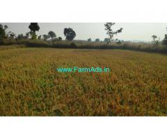 3.5 Acres Agriculture Land for Sale at Kuhi