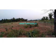 3.5 Acres Farm Land for sale with Coconut Trees at Chiknayakanahalli