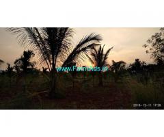 3.5 Acres Farm Land for sale with Coconut Trees at Chiknayakanahalli