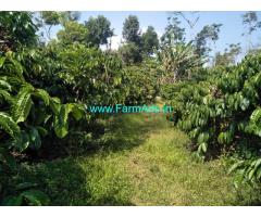 12 acre beautufull robusta coffee  plantation for sale Chikmagalur