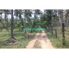 50 Cents Coconut Farmland for Sale near Siruvani Road, Alandurai