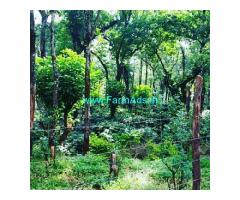 250 Acres Coffee Estate for Sale in Chikmagalur
