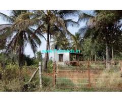 1 Acre 16 gunta coconut farm for sale , at 16 km from Mysore city center