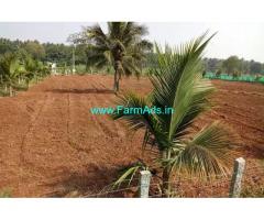 1 Acre coconut farm land for sale at 17 km from Mysore city center