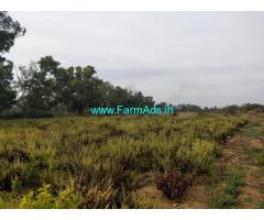 3 Acres Plain Agriculture Land for Sale at Belur, Hassan Belur Highway