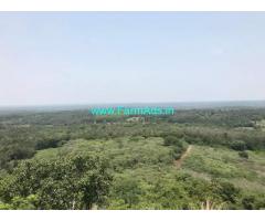 125 Acres Coffee Estate for Sale in Chikmagalur