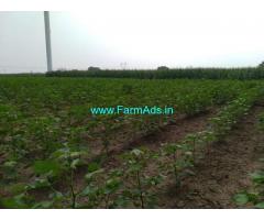 9.5 Acre Agriculture land for sale Thoppampatti, 5 km from uppar dam
