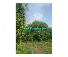 50 acres mango farm land for sale near Penukonda