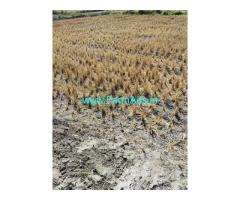 5.18 Acres Agriculture Land for Sale near Hathnoora,Medak Mandal