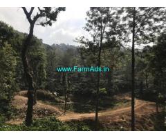 55 Acres Coffee Estate for Sale near Aldur,8km From Highway