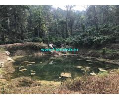 55 Acres Coffee Estate for Sale near Aldur,8km From Highway