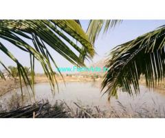 15 Acres Develeped Farm attached to HNSS Canal for sale at Chitoor