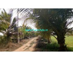 15 Acres Develeped Farm attached to HNSS Canal for sale at Chitoor