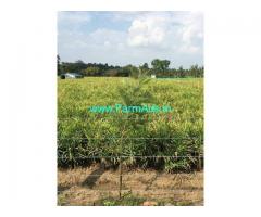 5 Acres Agriculture Land for Sale in H.D.Kote