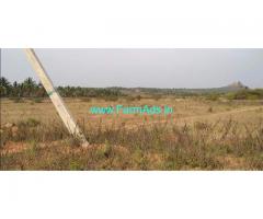 4 Acres Agriculture Land for Sale near Turuvekere,Bellur Cross