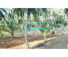 4.35 Acres Coconut Farm Land for sale in Kunjanviali