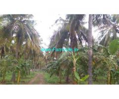 12 Acres Coconut Farm Land for sale in Karatholuvu
