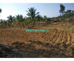 4 Acres Agriculture Land for Sale near Nagamangala,Bindiganavile road