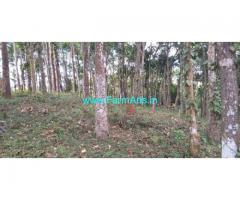 6 Acres Agriculture Land for Sale near Mananthavady