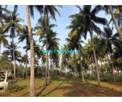2.5 Acres Coconut Farm Land for sale in Kozhinjampara