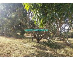 8 Acres Coconut Farm Land for sale at Hassan, 10kms from town on Belur road
