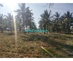 8 Acres Coconut Farm Land for sale at Hassan, 10kms from town on Belur road